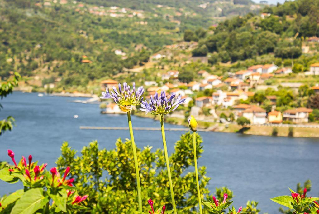 Casa Da Torre, Porto Manso Villa Ribadouro Buitenkant foto