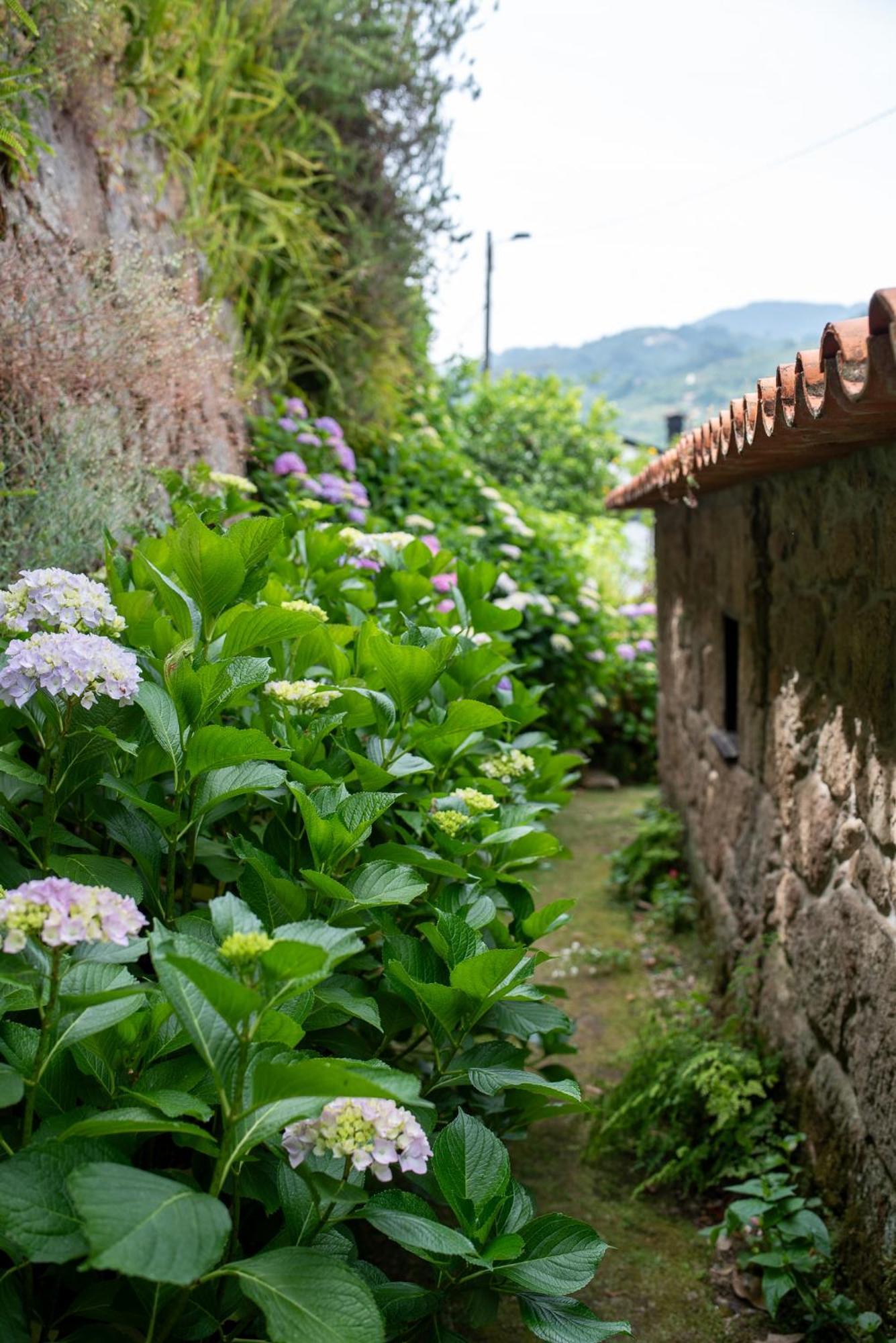 Casa Da Torre, Porto Manso Villa Ribadouro Buitenkant foto