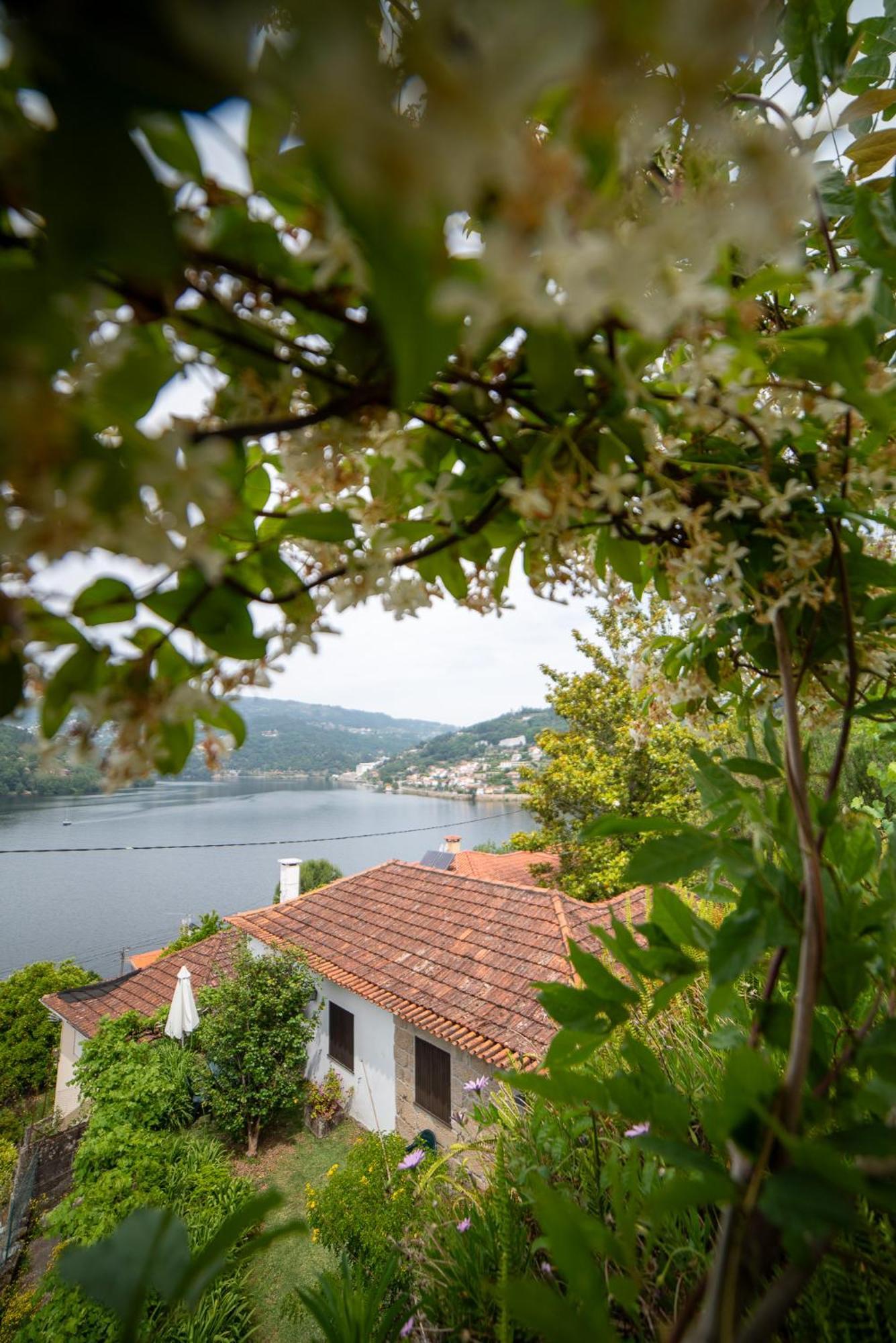 Casa Da Torre, Porto Manso Villa Ribadouro Buitenkant foto